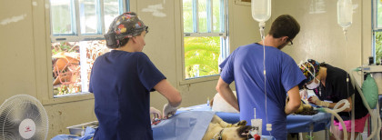 Tierkrankenhaus in der Dominikanischen Republik 