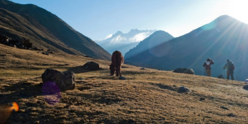 Lares Trek in Peru