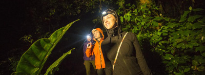 Drei junge Menschen die eine Nachtwanderung durch einen Wald machen