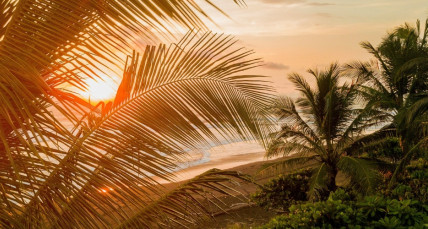 Jaco Beach Costa Rica
