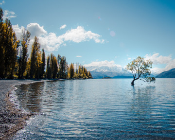 Blick auf den Lake Wanaka