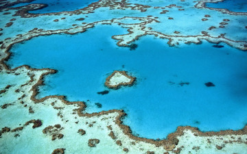 Blick auf das Great Barrier Reef