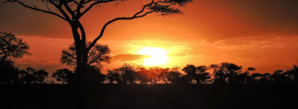 Blick auf einen Sonnenuntergang in Tansania in einem Nationalpark  