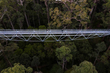 Tree Top Walk in Westaustralien
