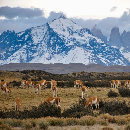 Berge in Chile