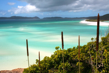 Blick auf den Whitehaven Beach in Australien