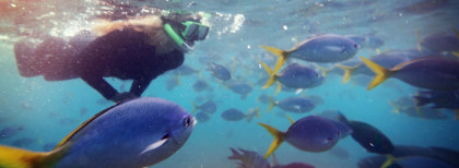 Das Beste von Australien