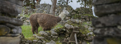 Rundreise Inka-Abenteuer