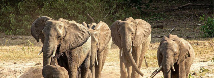 Lagune in Willemstad