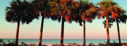 Strand in Fort Myers 