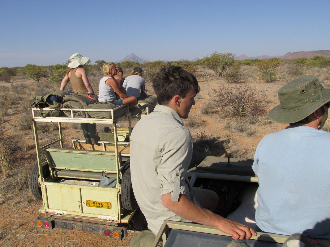 Fünf Personen in Safariautos in der Wüste beobachten etwas in der Ferne