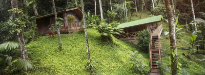 Zwei kleine Häuser in einem Urwald in Costa Rica