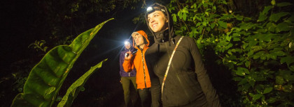 Drei Leute machen eine Nachtwanderung durch eine Wald
