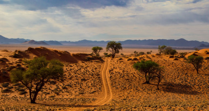 Eine Straße in der Wüste Namibias 