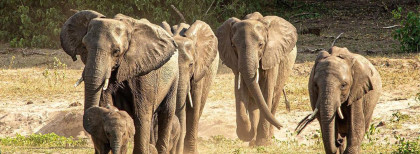 Lagune in Willemstad