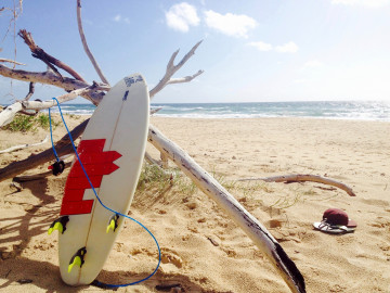 Blick auf einen Strand in Australien