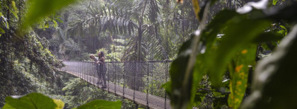 Zwei Menschen auf einer Hängebrücke in Monteverde, Costa Rica