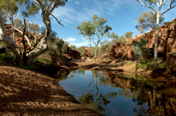 Blick auf einen See mitten in der Australischen Wüste umgeben von Palmen