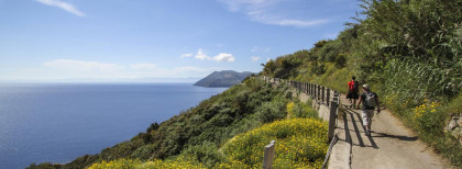 Blick auf ein Berg an einem Meer 