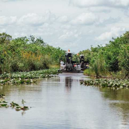 Ein Boot was durch die Everglades fährt