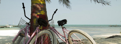 Zwei Pinke Fahrräder stehen angelegt an einer Palme an einem Sandstrand am Meer