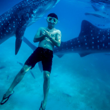 Ein Junge schwimmt mit Haien im Meer
