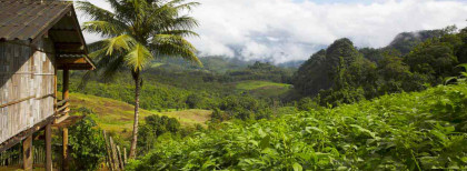 Blick auf die tollen Berge und Urwälder von Thailand