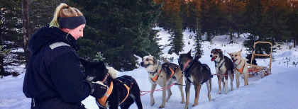 Eine Frau mit 6 Hunden und einem Schlitten mit Verschneiten Wald