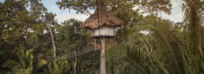 Peru Amazon Jungle Suspension Bridge Hut